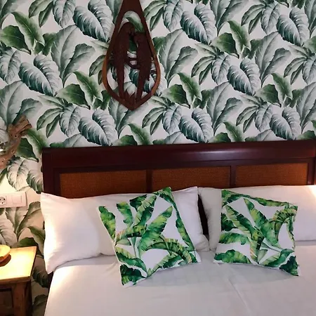 Appartement Luxury Bungalow”paradise Birds” *