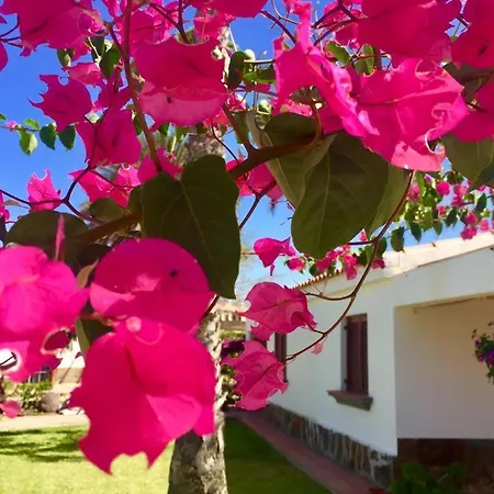 Luxury Bungalow”paradise Birds” Appartement
